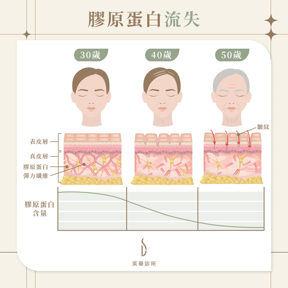 膠原蛋白流失